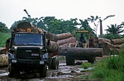 Congo Deforestation Photograph by Science Photo Library