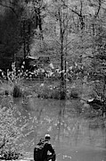 Contemplation Photograph by Liz Albro