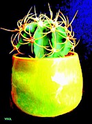 Contemporary Cactus Photograph by Viva Anderson