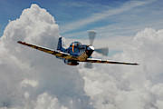 Contrary Mary - P51 Mustang Digital Art by Airpower Art Contrary Mary - P51 Mustang Digital Art by Airpower Art