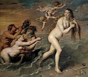 Cornelis de Vos / 'Birth of Venus', 17th century, Flemish School. VENUS DIOSA ROMANA. Painting by Cornelis de Vos -c 1584-1651-