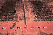 Corvair Photograph by Minnie Gallman