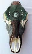 Cow Elk Skull Mixed Media by Charla Van Vlack Cow Elk Skull Mixed Media by Charla Van Vlack
