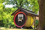 Crazy Accomodation Photograph by Eva Lechner