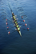Crew Team Rowing Photograph by Fuse