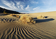 Critter Tracks and Clouds Photograph by Tom Daniel