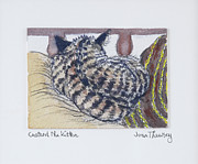 Custard The Kitten, 2005 Painting by Joan Thewsey