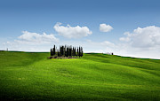 Cypress trees in Tuscany Photograph by Francesco Riccardo Iacomino