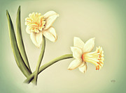 Daffodils Digital Art by Lois Bryan