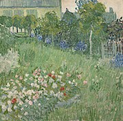 Daubigny's Garden. Painting by Vincent van Gogh -1853-1890-