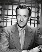 David Niven . Photograph by Album
