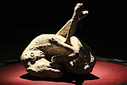 Day In The Life of Pompeii Exhibit Cast of Dog Photograph by Colleen Cornelius