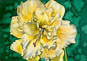 Daylily Y Painting by Diane Ziemski