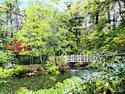 Decorative Bridge in Autumn Park Photograph by Susan Savad Decorative Bridge in Autumn Park Photograph by Susan Savad
