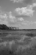 Deep Hole - Long View Photograph by Robert Wilder Jr
