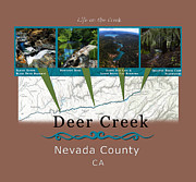 Deer Creek Series Views Digital Art by Lisa Redfern