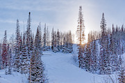 Deer Valley Sunset Photograph by Donna Twiford Deer Valley Sunset Photograph by Donna Twiford