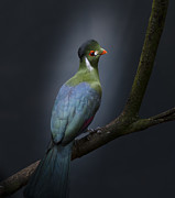Delightful Photograph by Greetje Van Son