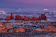 Desert Beauty 3 Photograph by Dan Norris