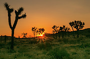 Desert Dawn 2 Photograph by Ryan Weddle