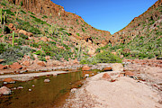Desert Oasis Photograph by Becqi Sherman Desert Oasis Photograph by Becqi Sherman