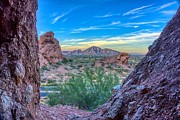 Desert Paradise Photograph by Anthony Giammarino Desert Paradise Photograph by Anthony Giammarino