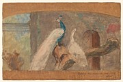 Design for a dessus de porte branch with peacock and other birds. Painting by August Allebe -1838-1927-