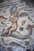 Detail Of The Triclinium Mosaic Of The House Of Amphitrite On The Underground Floor: Love Riding A Dolphin And Holding A Mirror/bulla Regia/tunisia Photograph by 