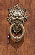 Devil Door of Venice Photograph by David Letts