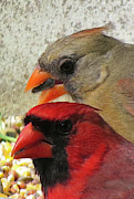 Dinner Date Photograph by Linda Stern