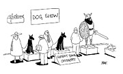 Dog Show Great Dane Category Drawing by Naf