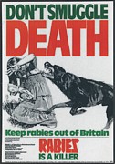 Dont Smuggle Death; Keep Rabies Out Of Britain  Rabies Painting by Ministry Of Agriculture, Fisheries And Food