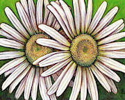 Double Daisy Painting by Amy E Fraser Double Daisy Painting by Amy E Fraser