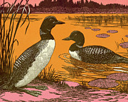 Ducks Drawing by CSA Images