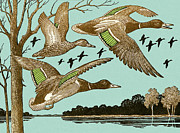 Ducks Flying Drawing by CSA Images Ducks Flying Drawing by CSA Images