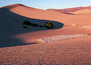 Dunes and Mud Photograph by Tom Daniel