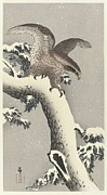 Eagle On Snowy Pine Tree Painting by Ohara Koson Eagle On Snowy Pine Tree Painting by Ohara Koson