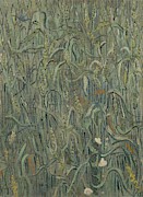 Ears of Wheat. Painting by Vincent van Gogh -1853-1890-