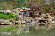 Edith Carrier Arboretum Waterfall Photograph by Allen Nice-Webb