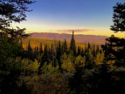Elk Bluff  Photograph by Kevin Dietrich