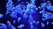 Enzymes Photograph by Science Photo Library