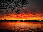 Epcot Sunset Photograph by Portia Olaughlin
