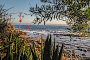 Epic Ocean View Photograph by Chris Spencer Epic Ocean View Photograph by Chris Spencer