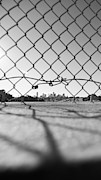 Escape Photograph by Peter Hull