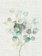 Eucalyptus IIi Vintage Painting by Danhui Nai