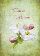 Expect Miracles Photograph by Kathi Mirto