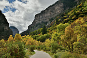 Fall Color Lines the Walkway at Hanging Lake Rest Area Photograph by Ray Mathis