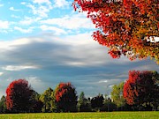 Fall Colors Photograph by Richard Thomas Fall Colors Photograph by Richard Thomas