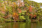 Fall in the Water Photograph by Donna Twiford Fall in the Water Photograph by Donna Twiford