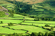 Farmland In North Wales Photograph by Science Photo Library